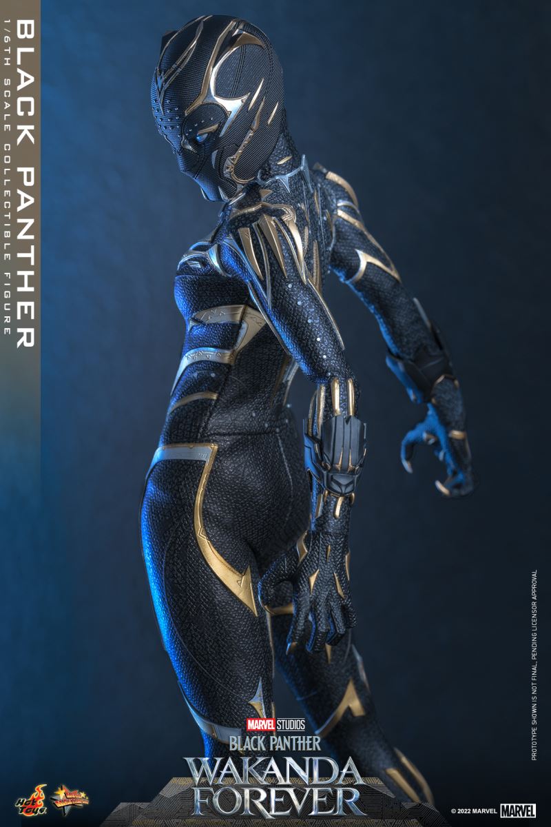 Black Panther - Black Panther 2: Long Live Wakanda 1/6