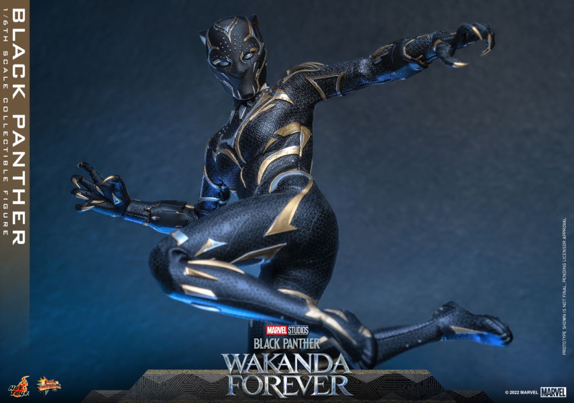 Black Panther - Black Panther 2: Long Live Wakanda 1/6