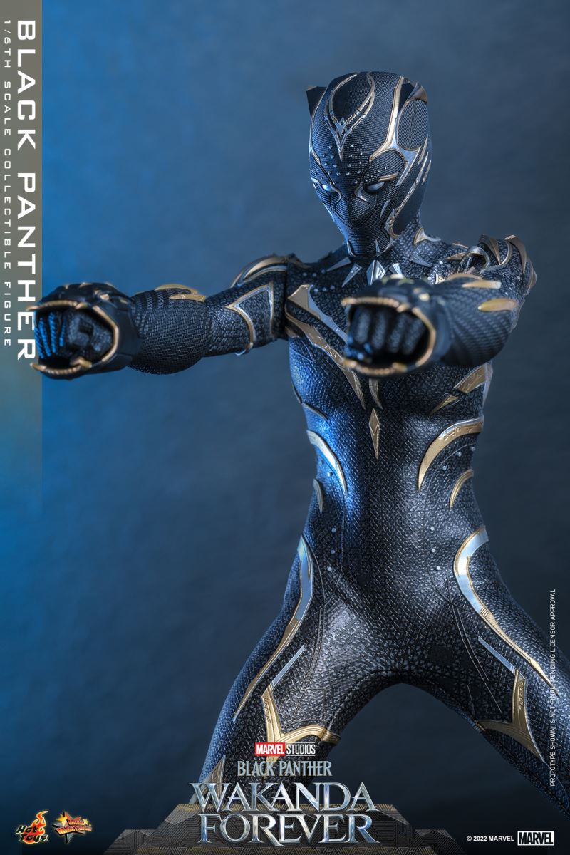 Black Panther - Black Panther 2: Long Live Wakanda 1/6