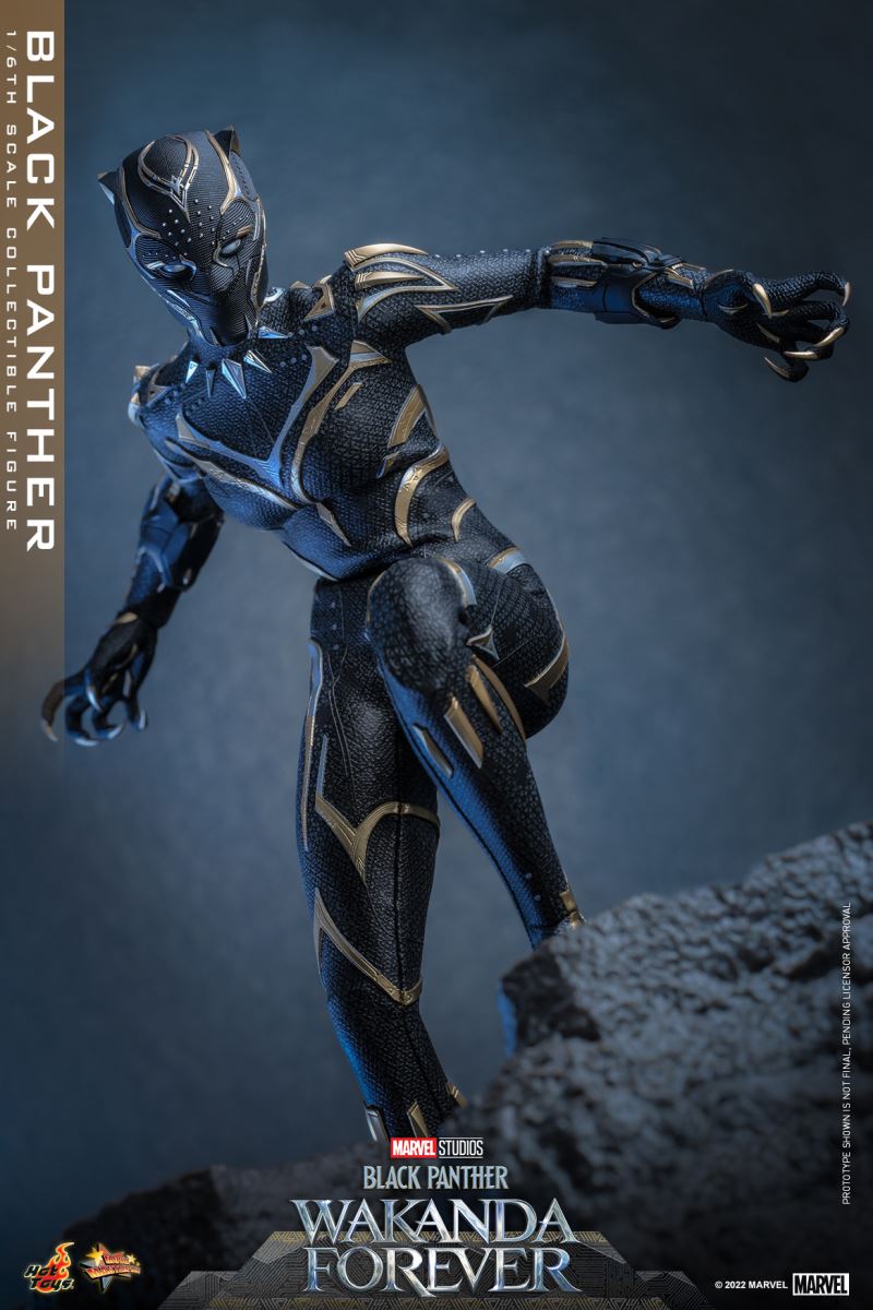 Black Panther - Black Panther 2: Long Live Wakanda 1/6