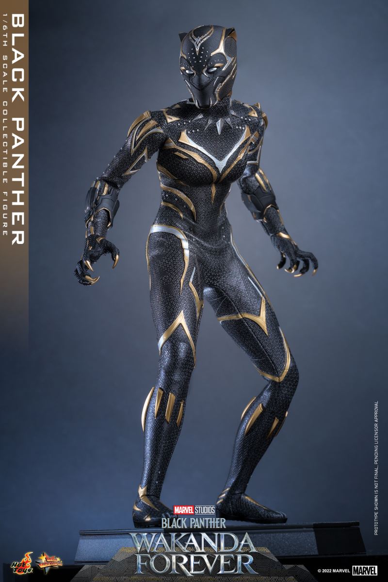 Black Panther - Black Panther 2: Long Live Wakanda 1/6