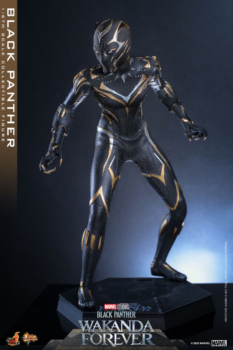 Black Panther - Black Panther 2: Long Live Wakanda 1/6