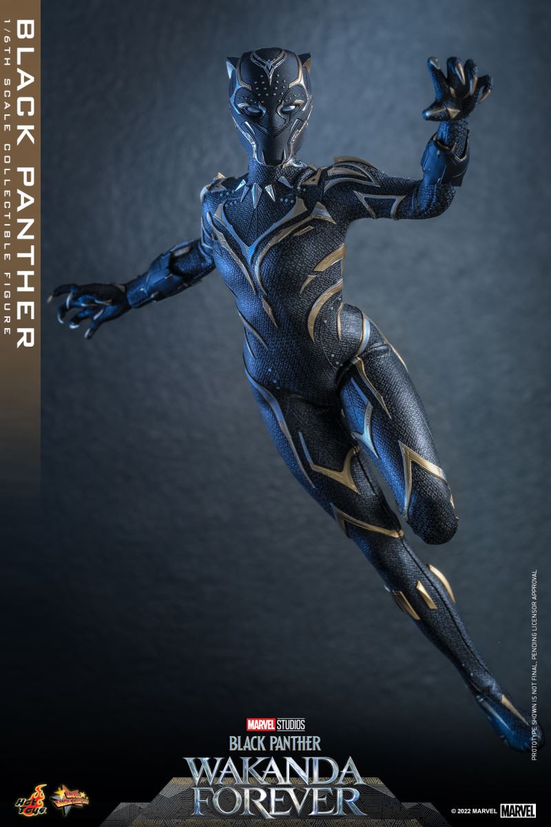 Black Panther - Black Panther 2: Long Live Wakanda 1/6