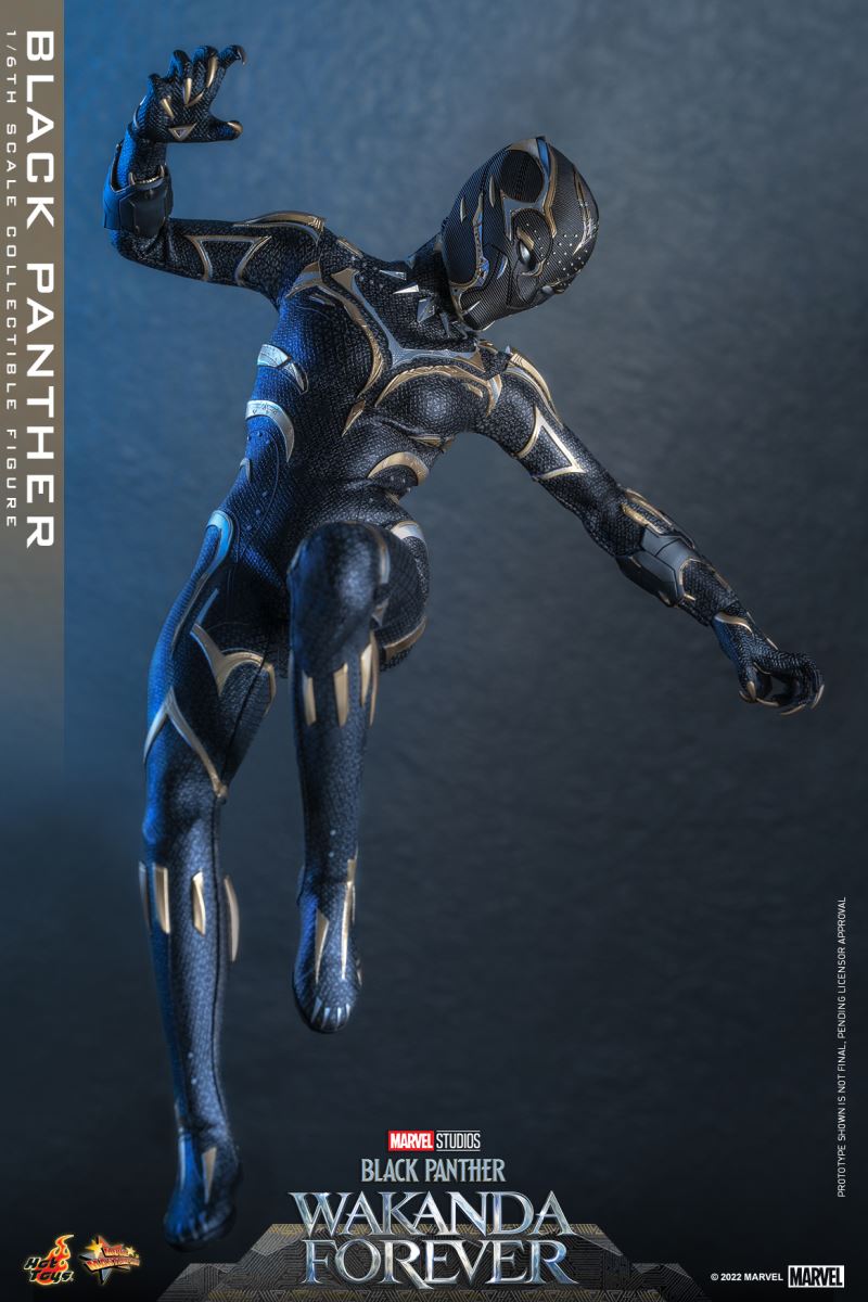 Black Panther - Black Panther 2: Long Live Wakanda 1/6
