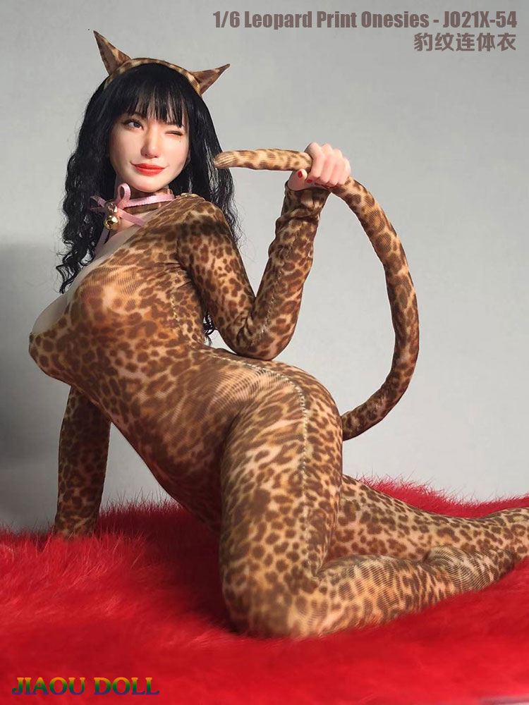 Leopard 1/6