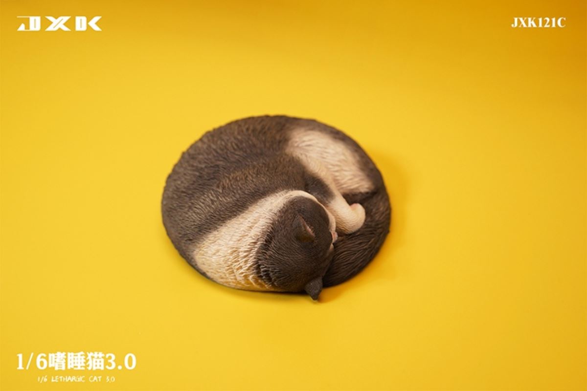 Sleepy Cat 3.0 1/6