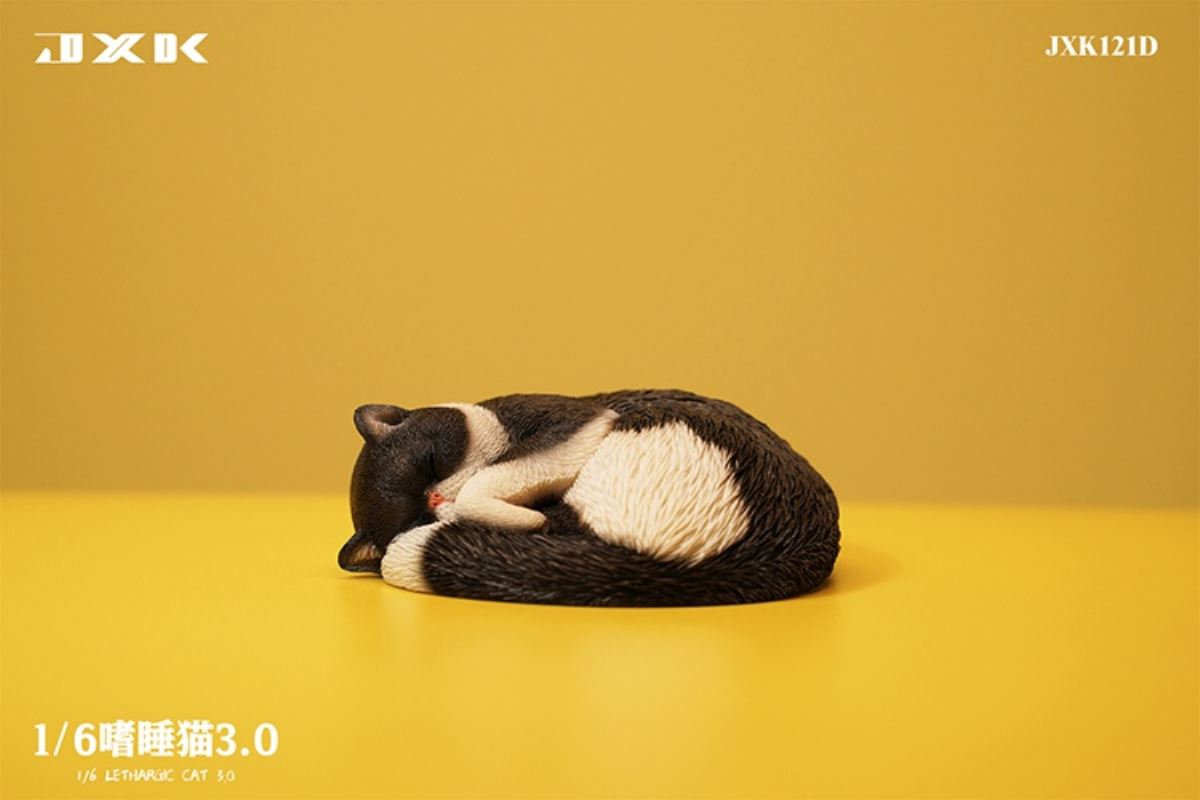 Sleepy Cat 3.0 1/6