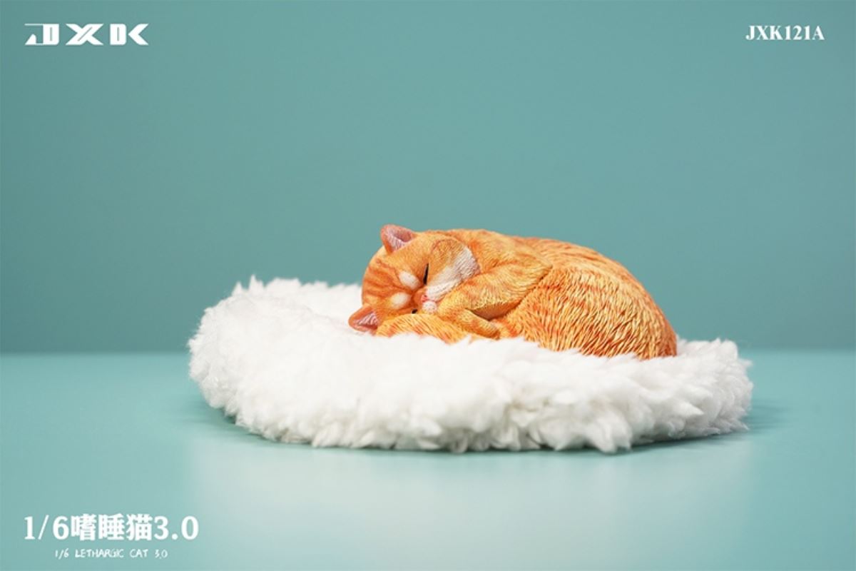 Sleepy Cat 3.0 1/6