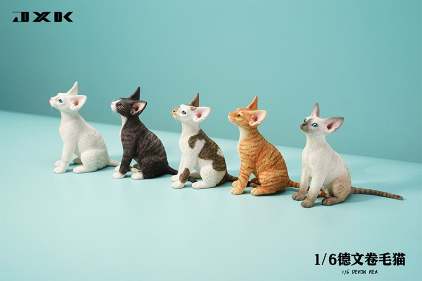 German curly cat JXK123 1/6