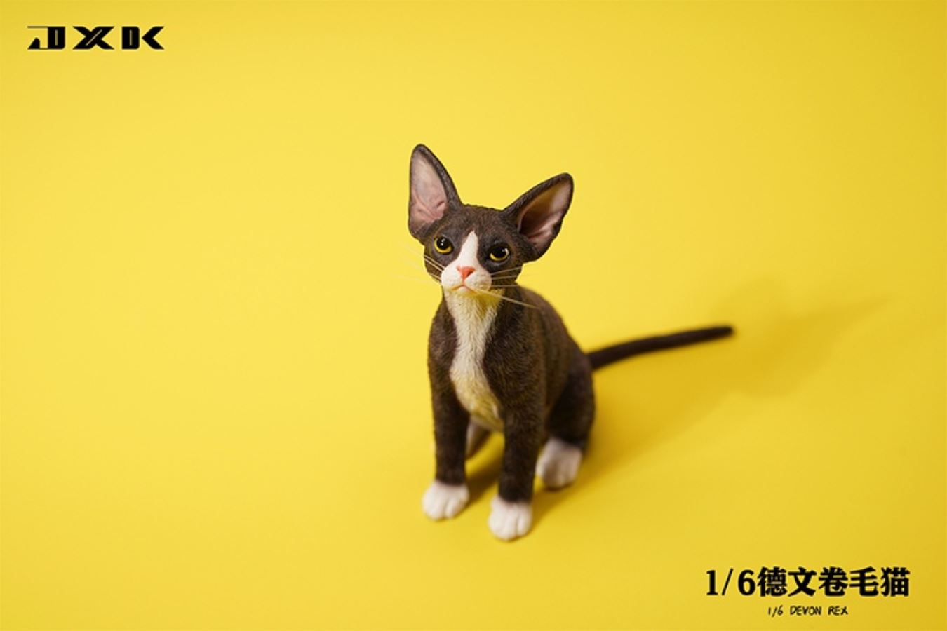 German curly cat JXK123 1/6