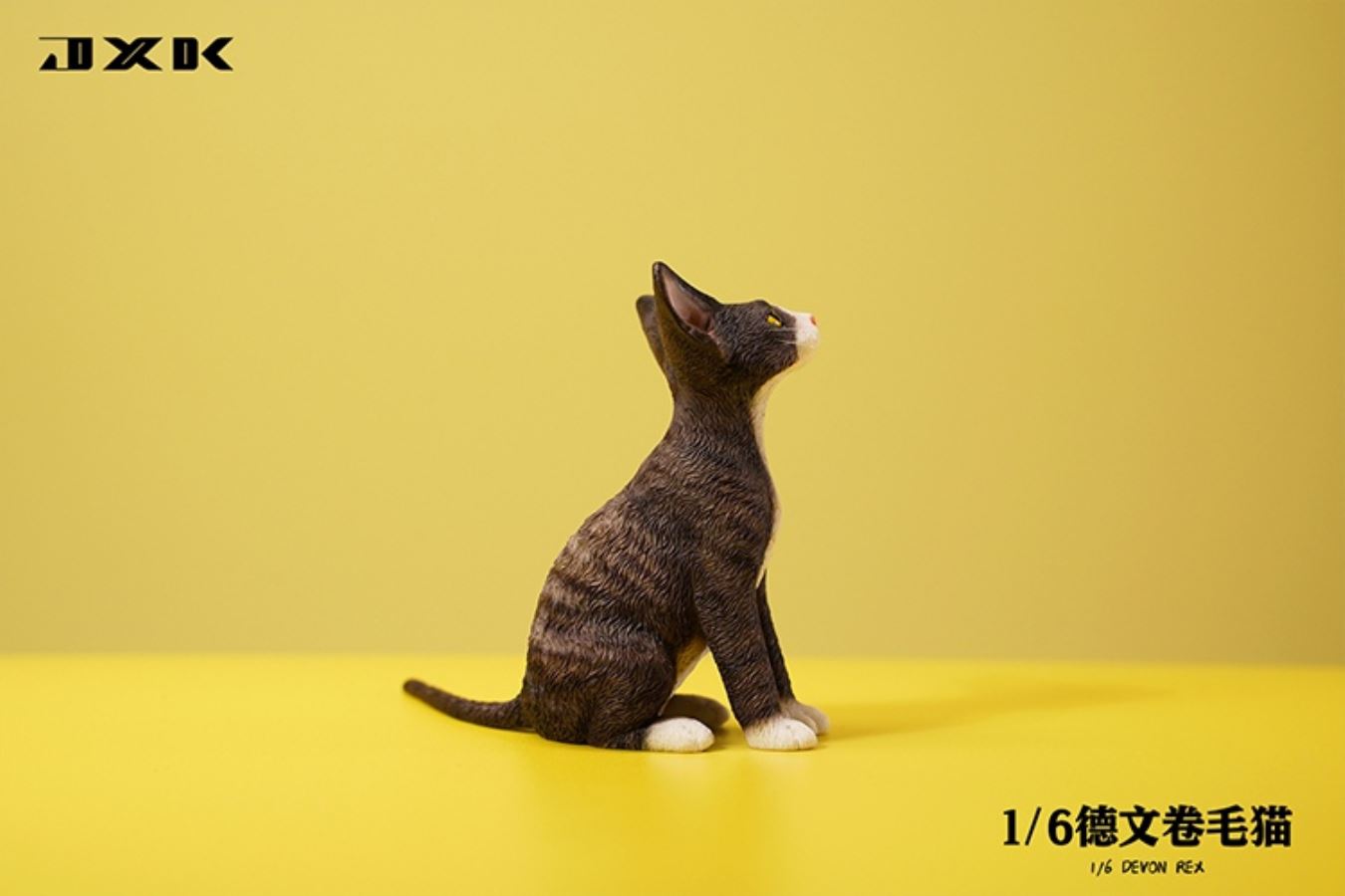 German curly cat JXK123 1/6