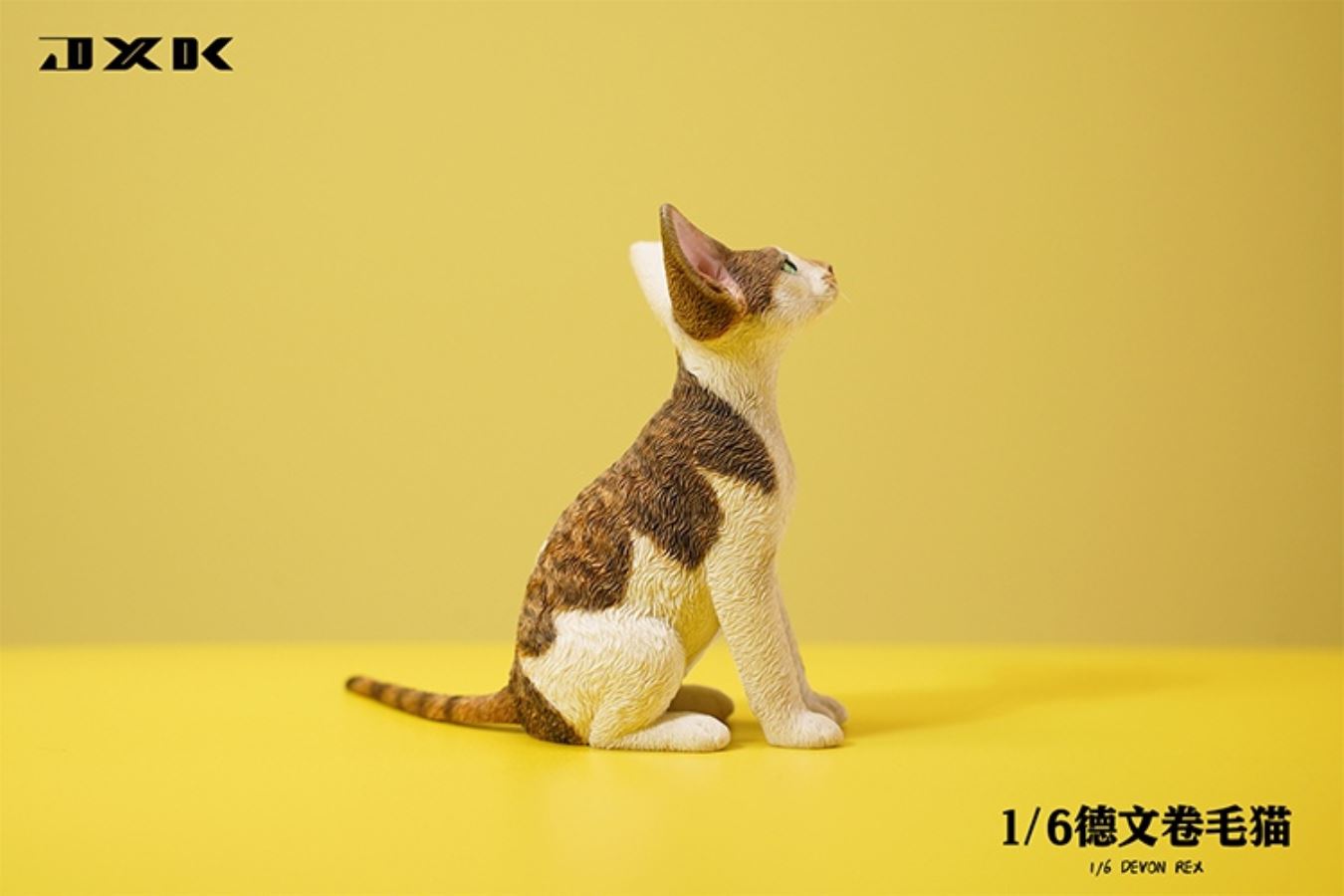 German curly cat JXK123 1/6