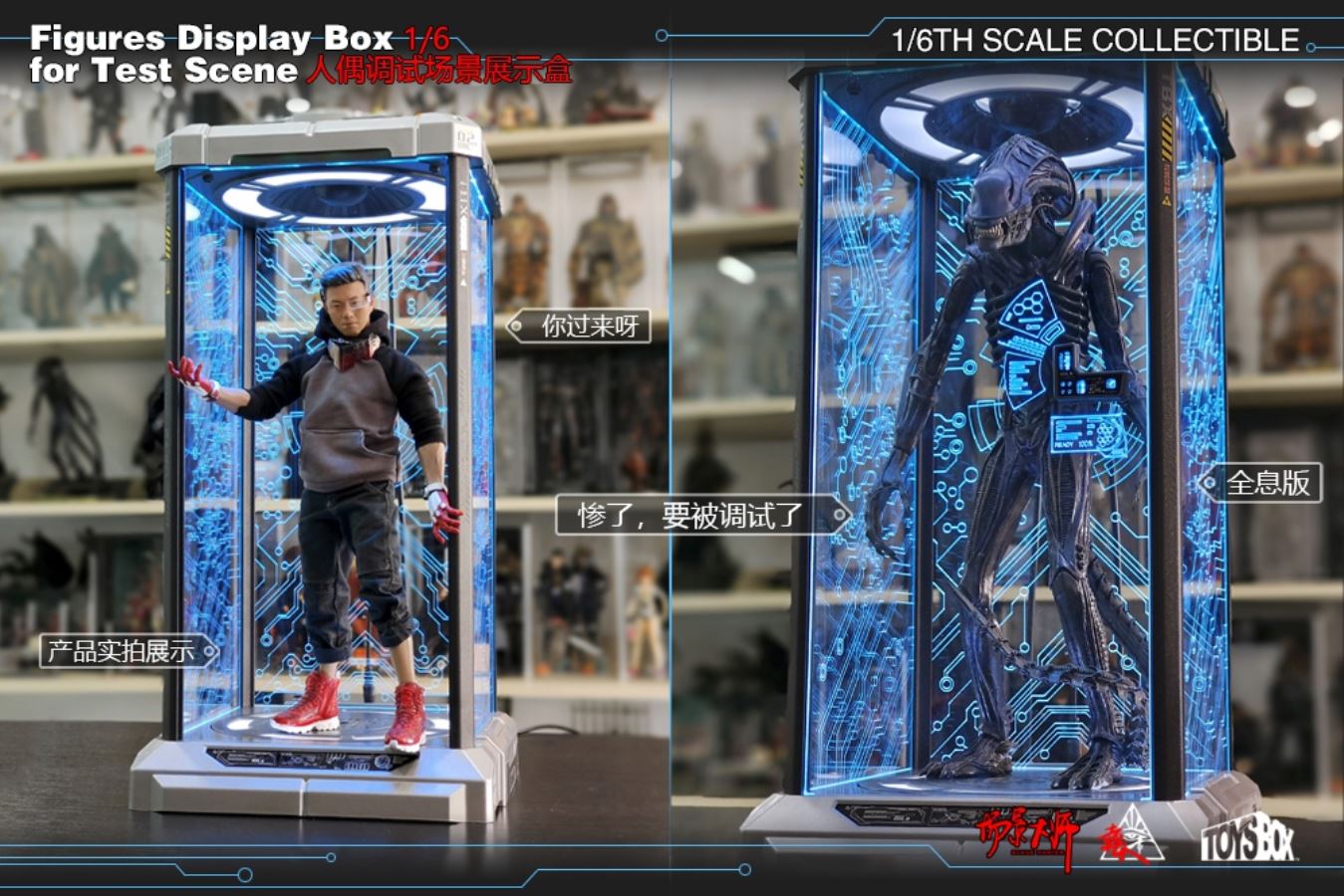 Doll Debugging Scene Display Box 1/6