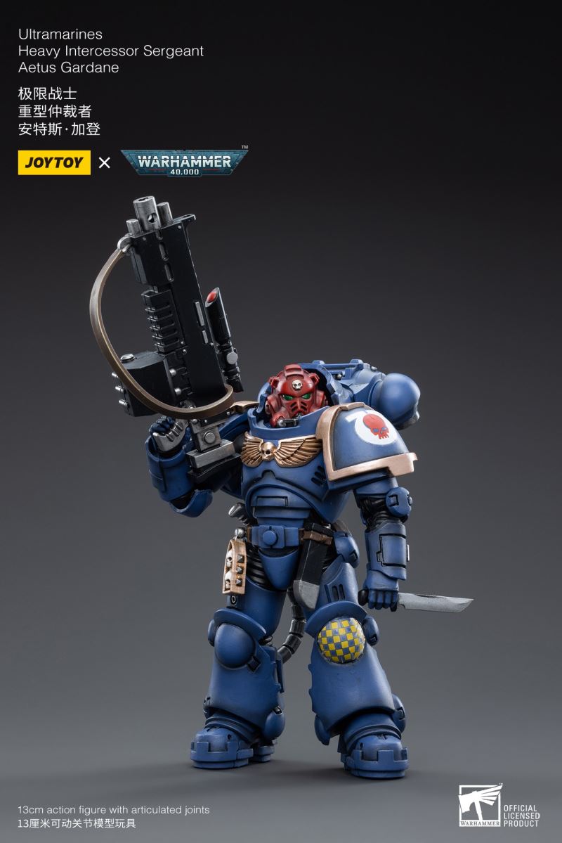 Ultramarines Heavy Intercessor 1/18