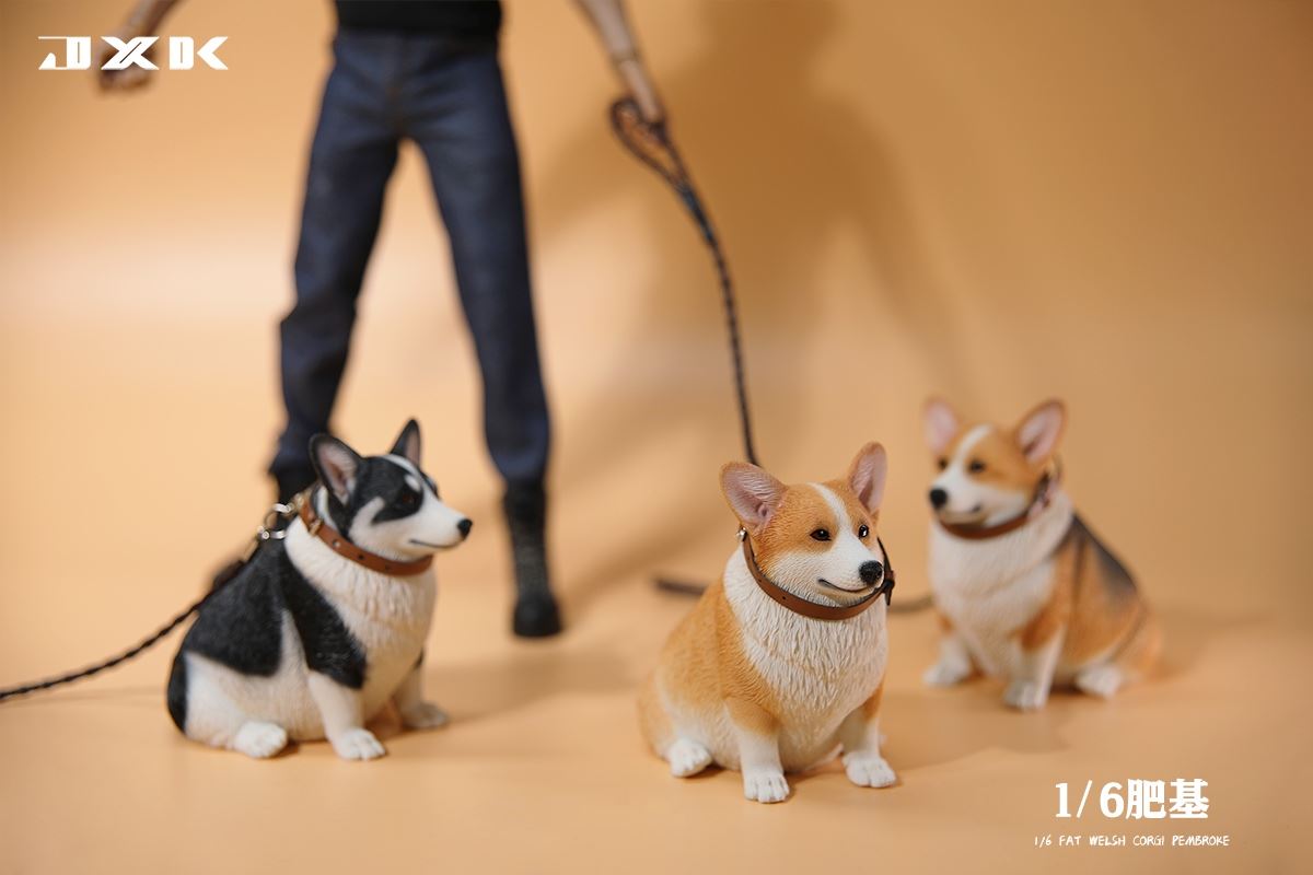 Fat Welsh Corgi Pembroke 1/6