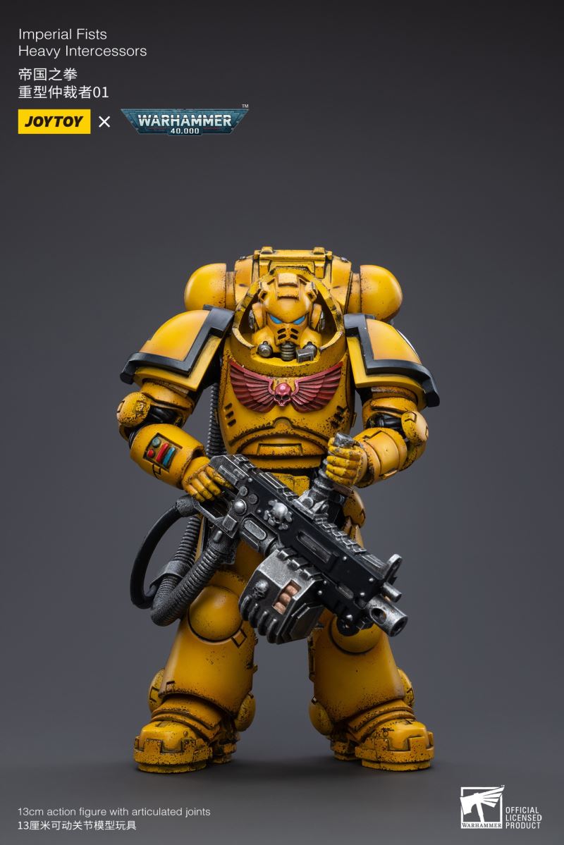 Imperial Fists 1/18