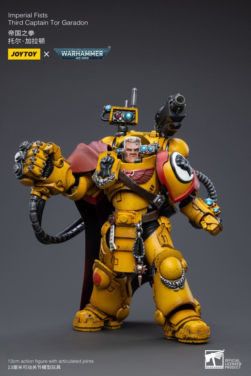 Imperial Fists 1/18
