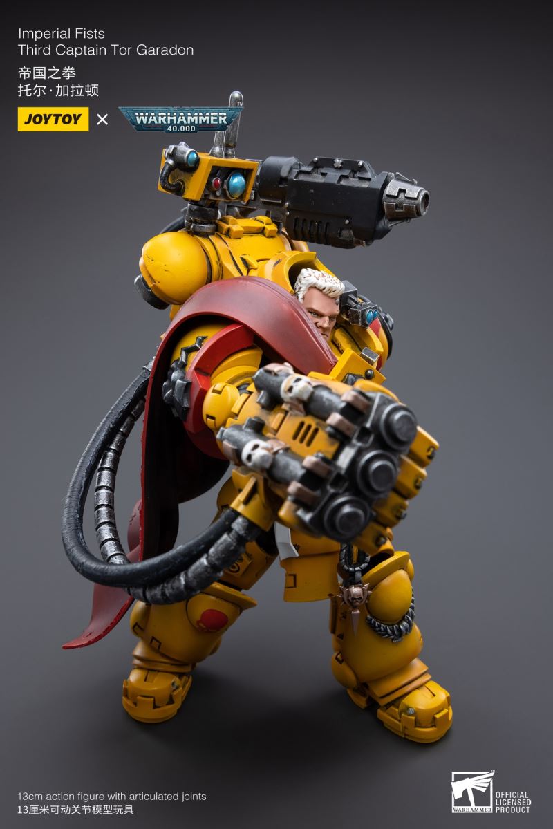 Imperial Fists 1/18