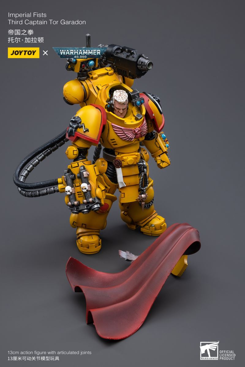 Imperial Fists 1/18