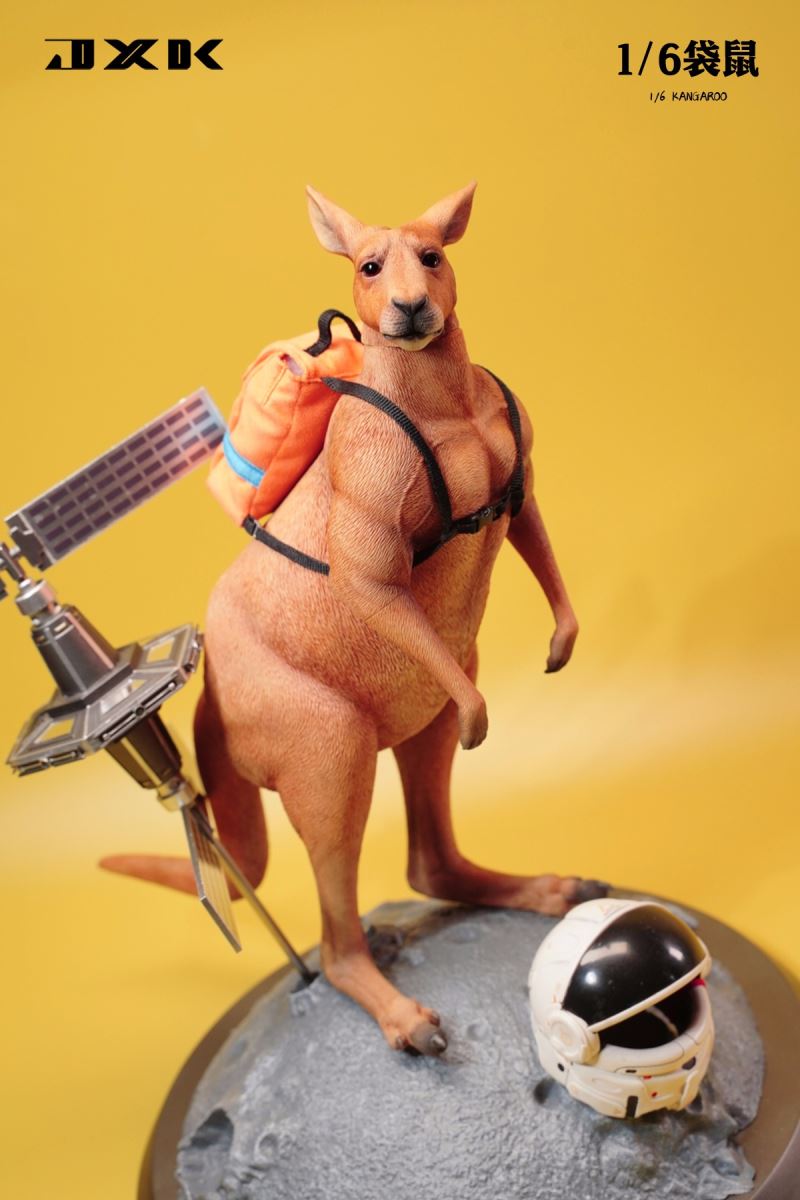 Kangaroo 1/6