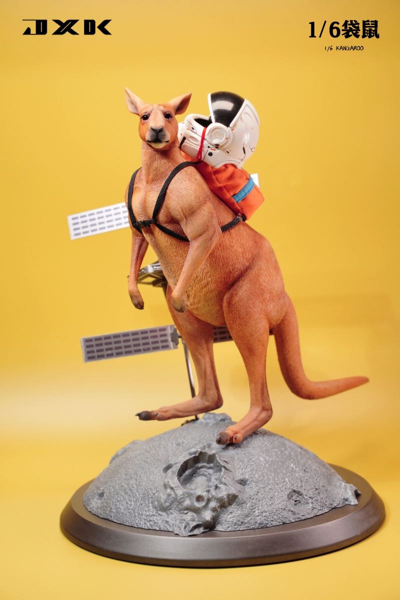 Kangaroo 1/6