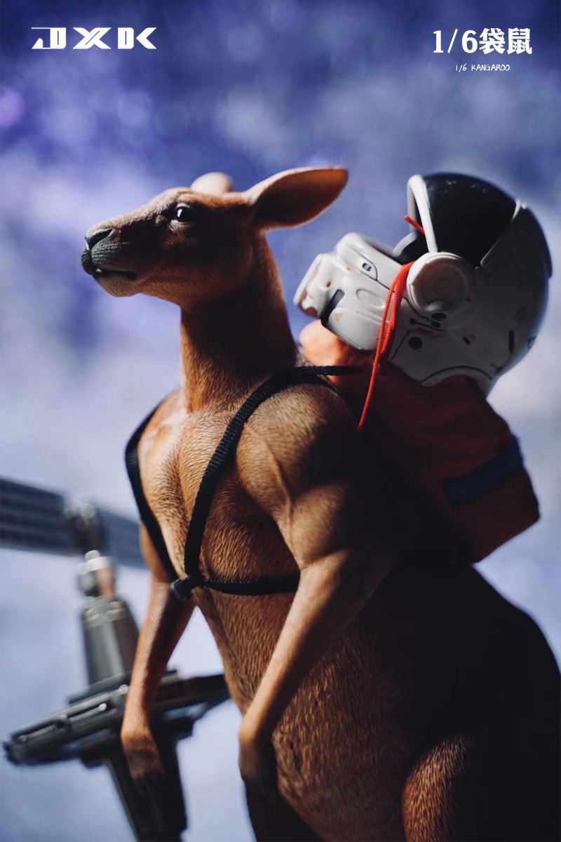 Kangaroo 1/6