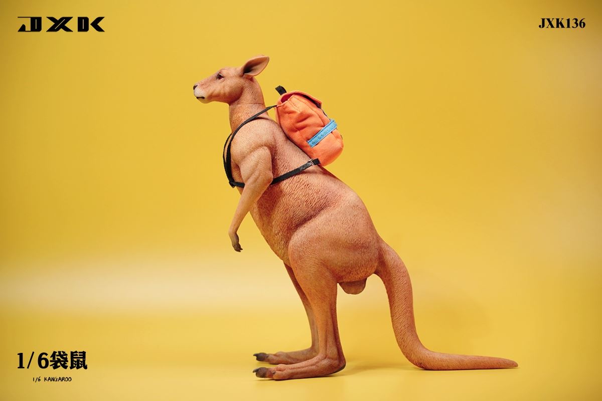 Kangaroo 1/6
