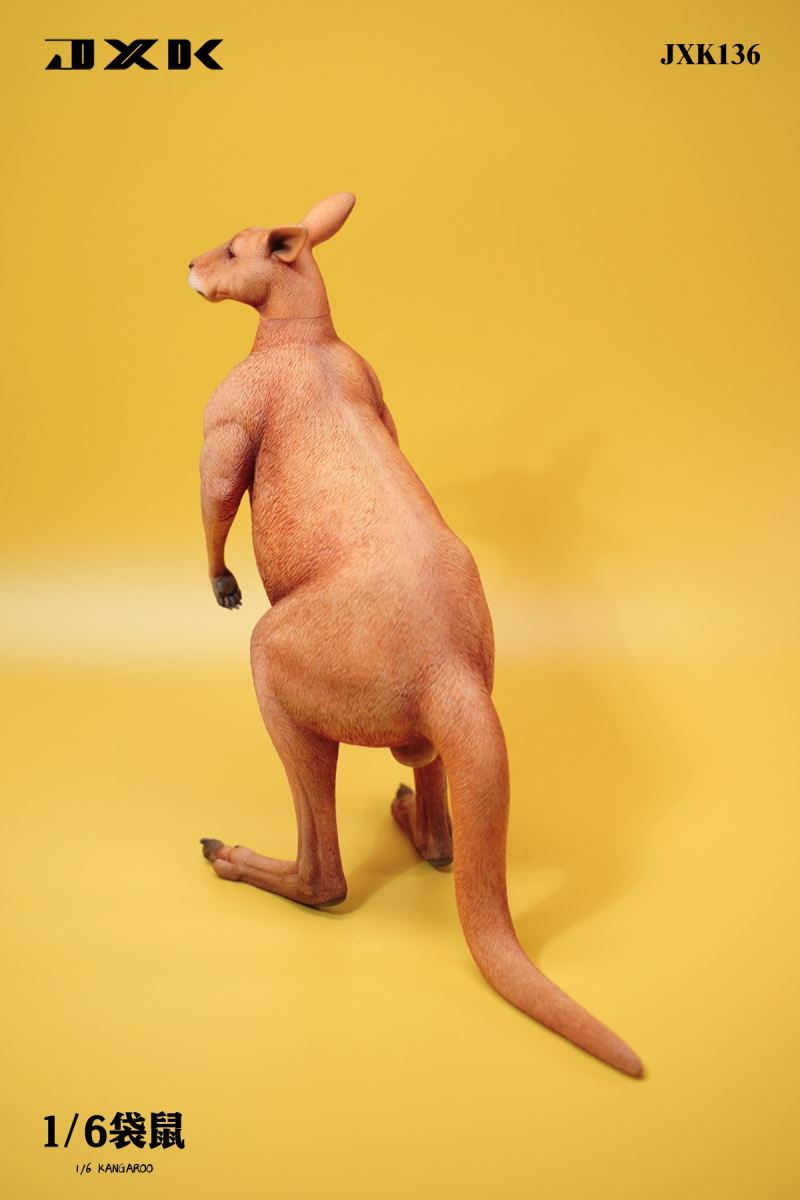Kangaroo 1/6