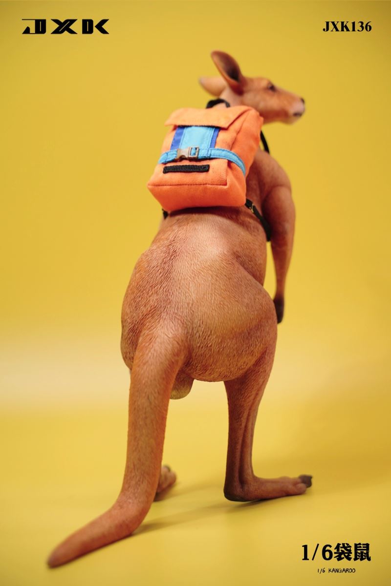 Kangaroo 1/6