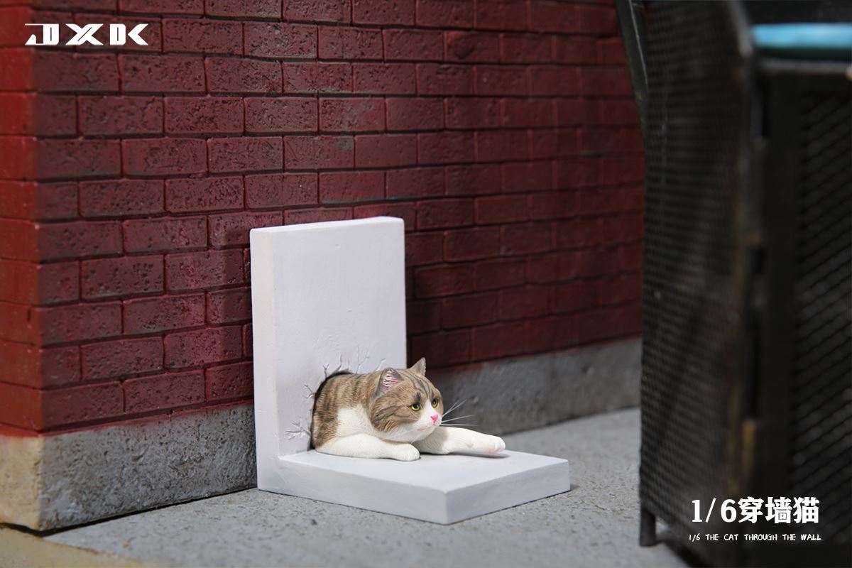 Wall Cat 1/6