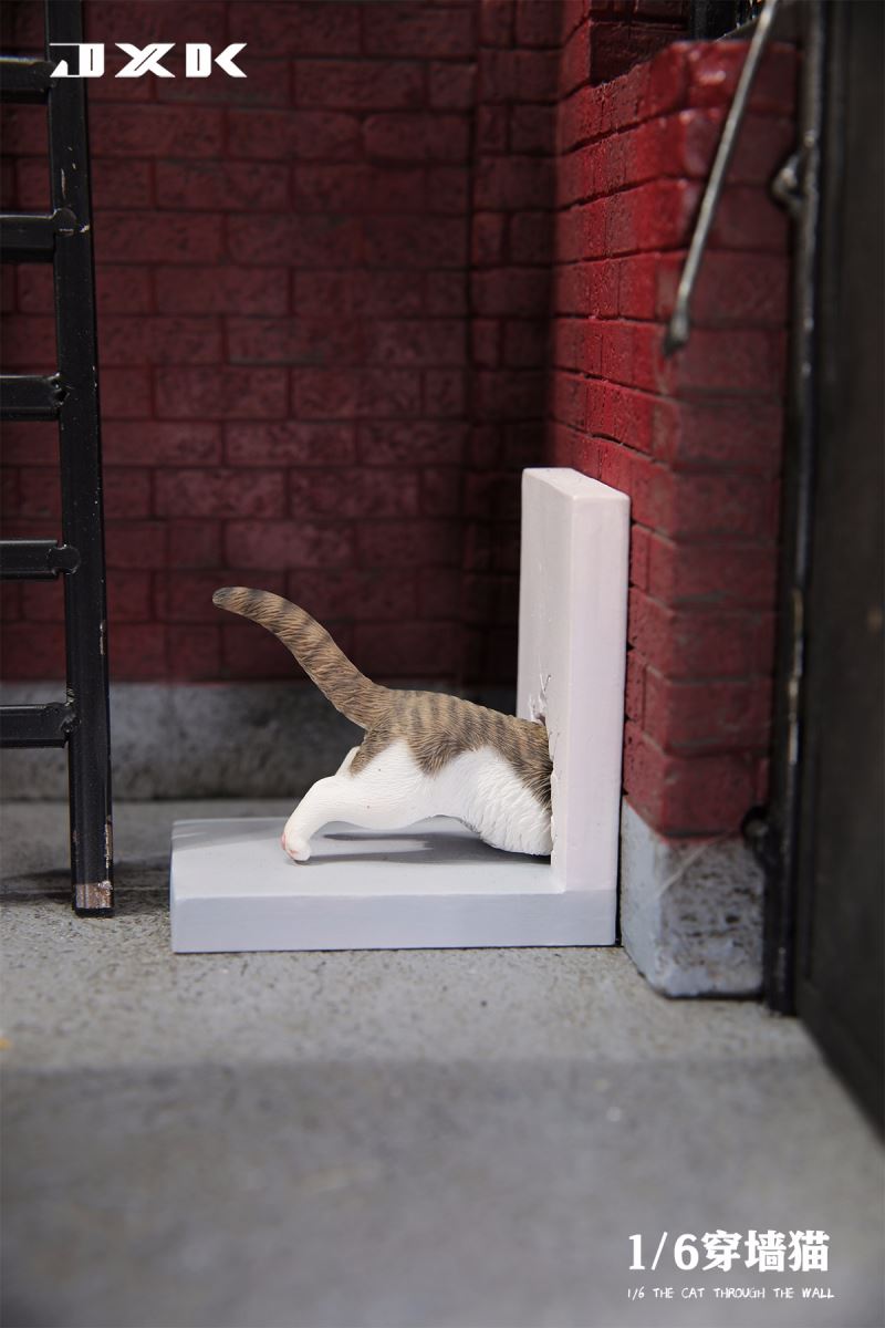 Wall Cat 1/6