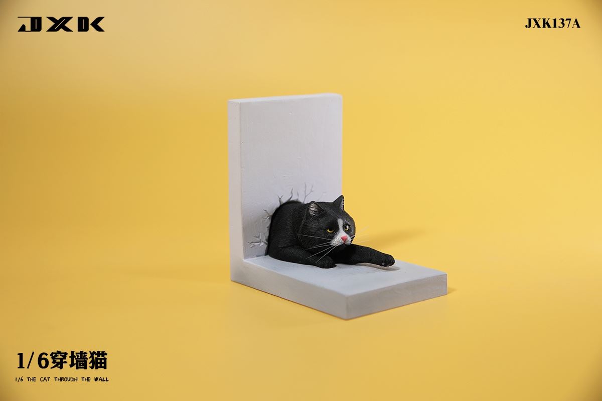 Wall Cat 1/6