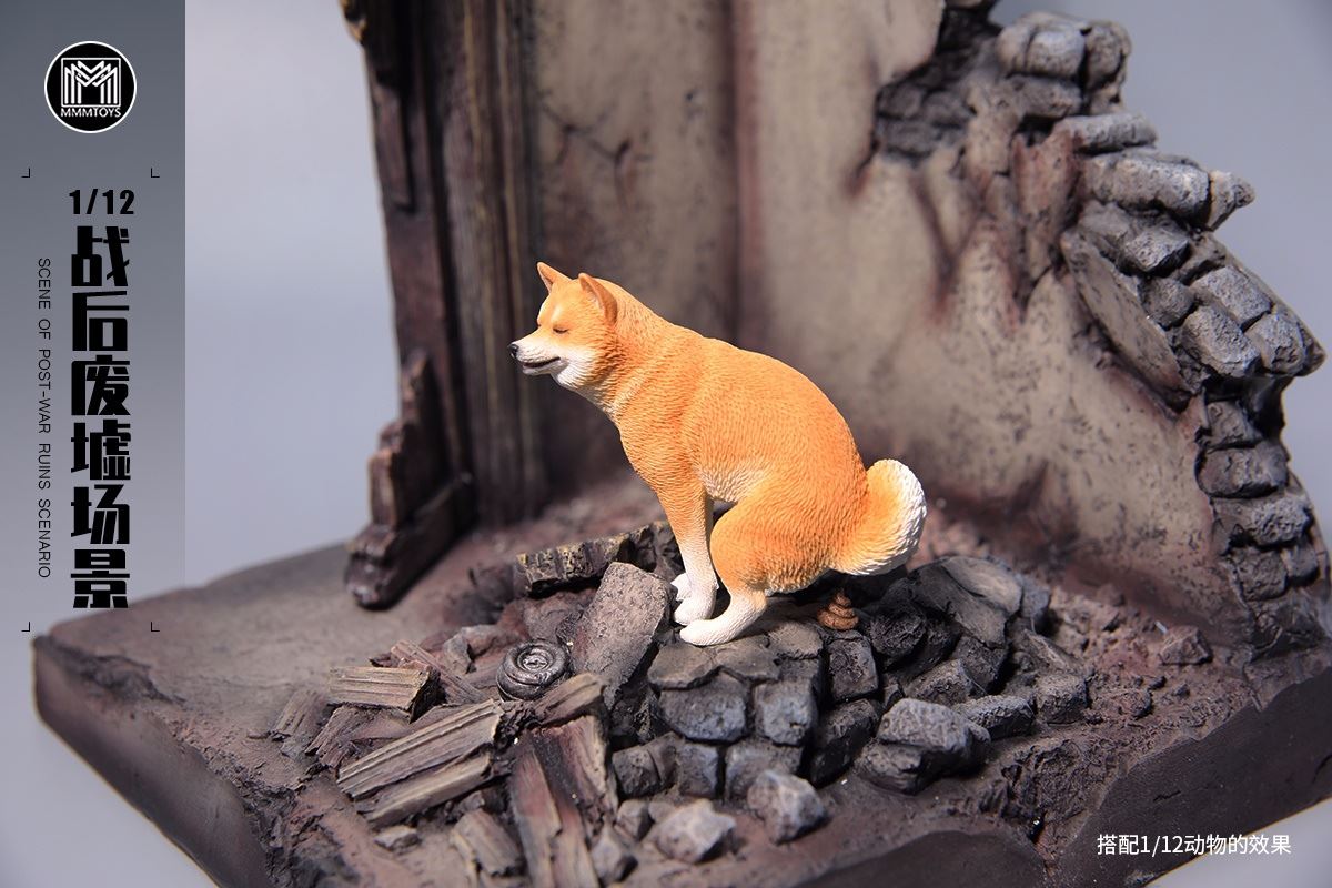 Scene Of Post-war Ruins Scenario