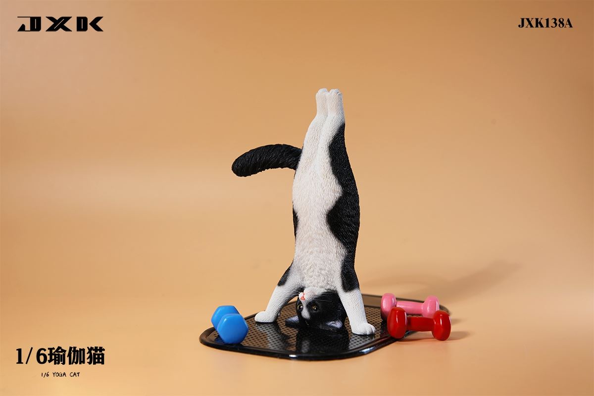 Yoga Cat 1/6