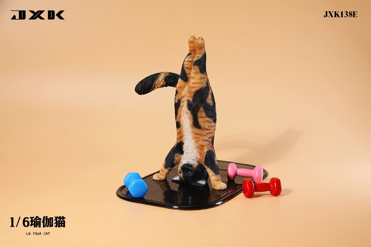 Yoga Cat 1/6