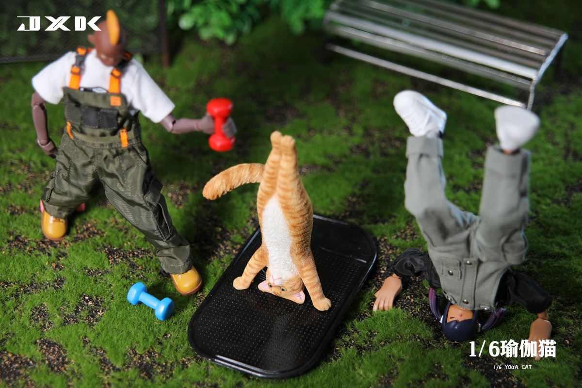 Yoga Cat 1/6