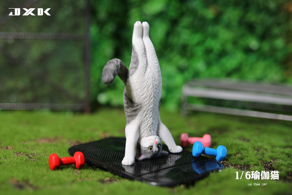 Yoga Cat 1/6