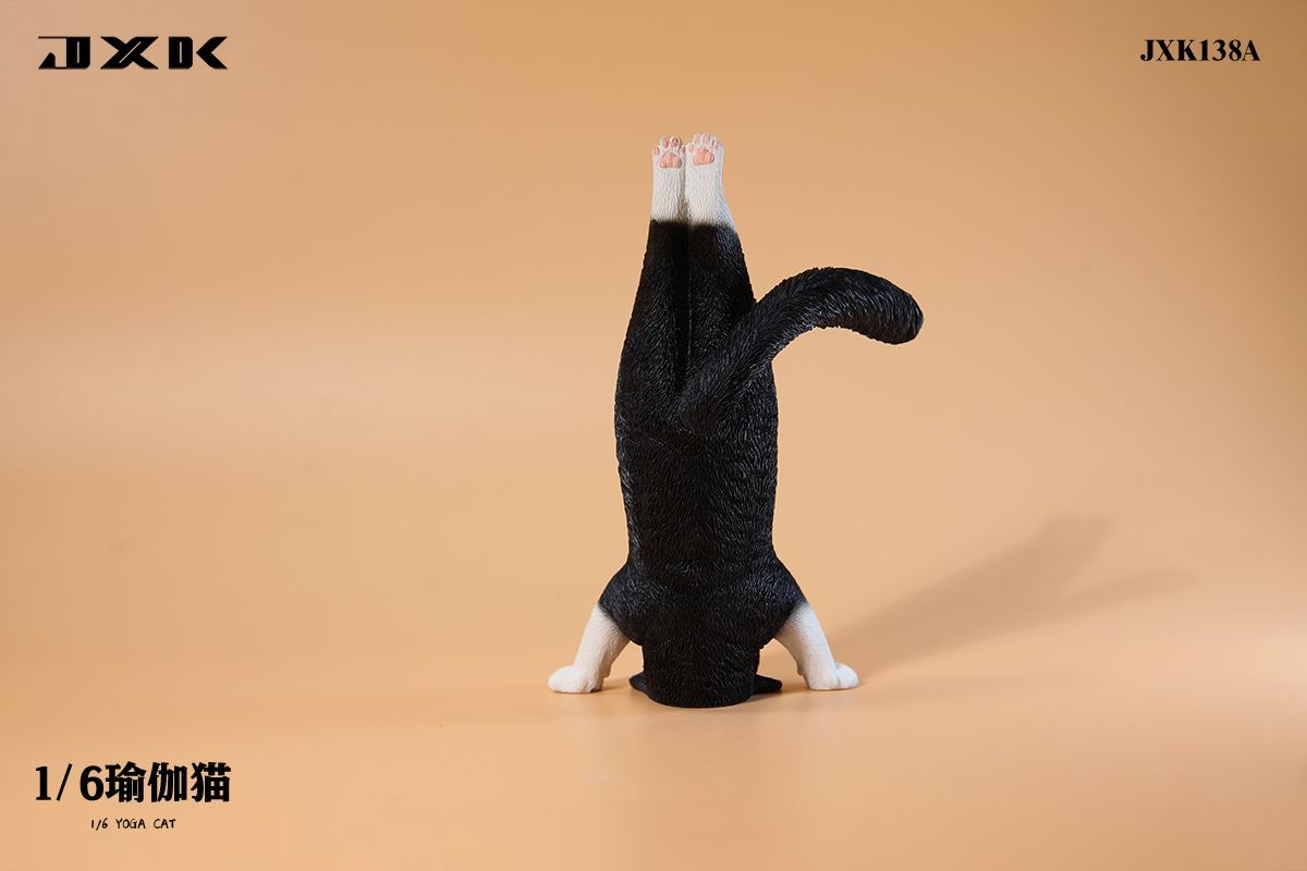 Yoga Cat 1/6