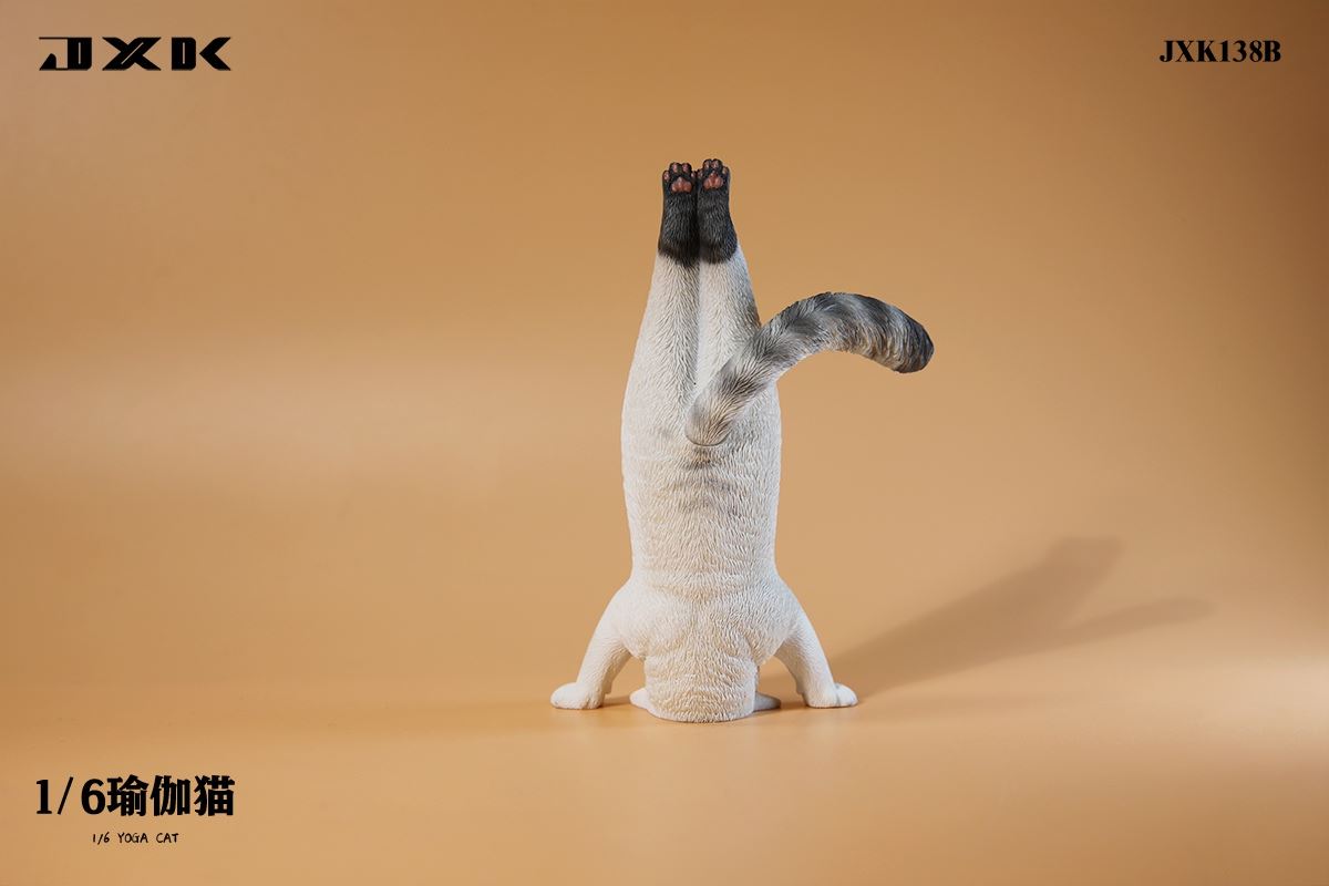Yoga Cat 1/6