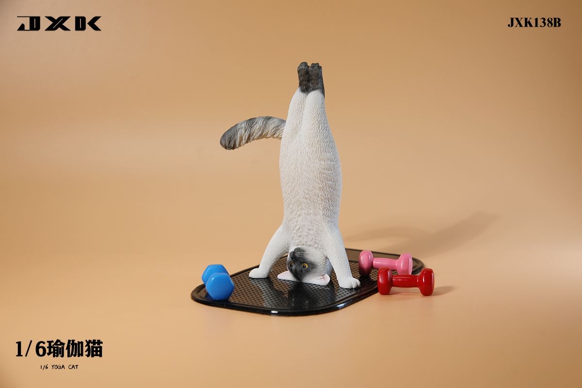 Yoga Cat 1/6