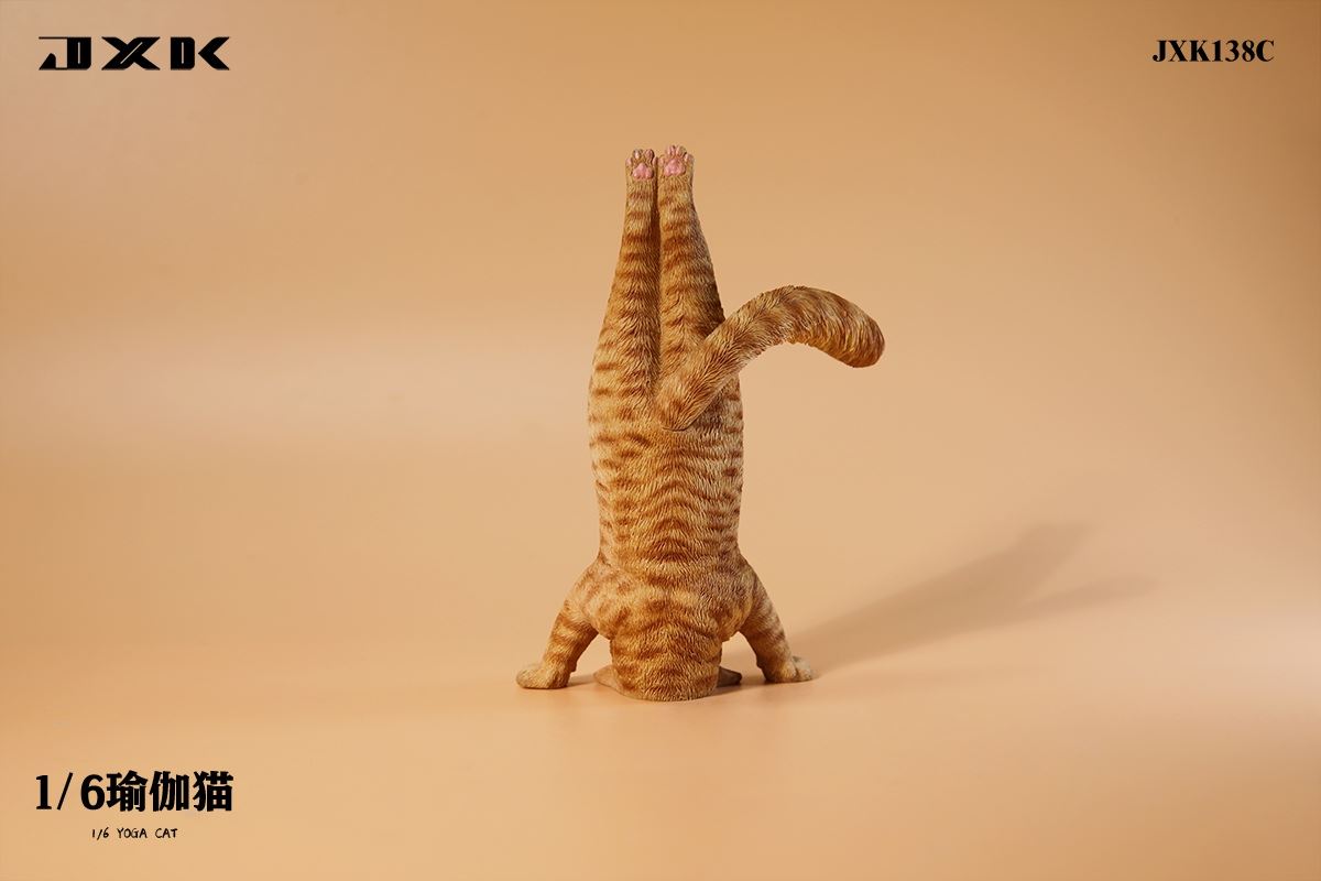 Yoga Cat 1/6