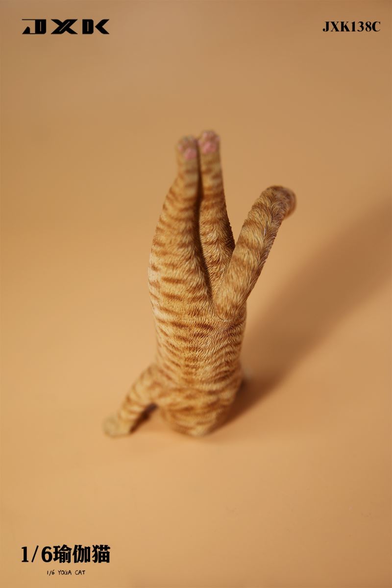Yoga Cat 1/6