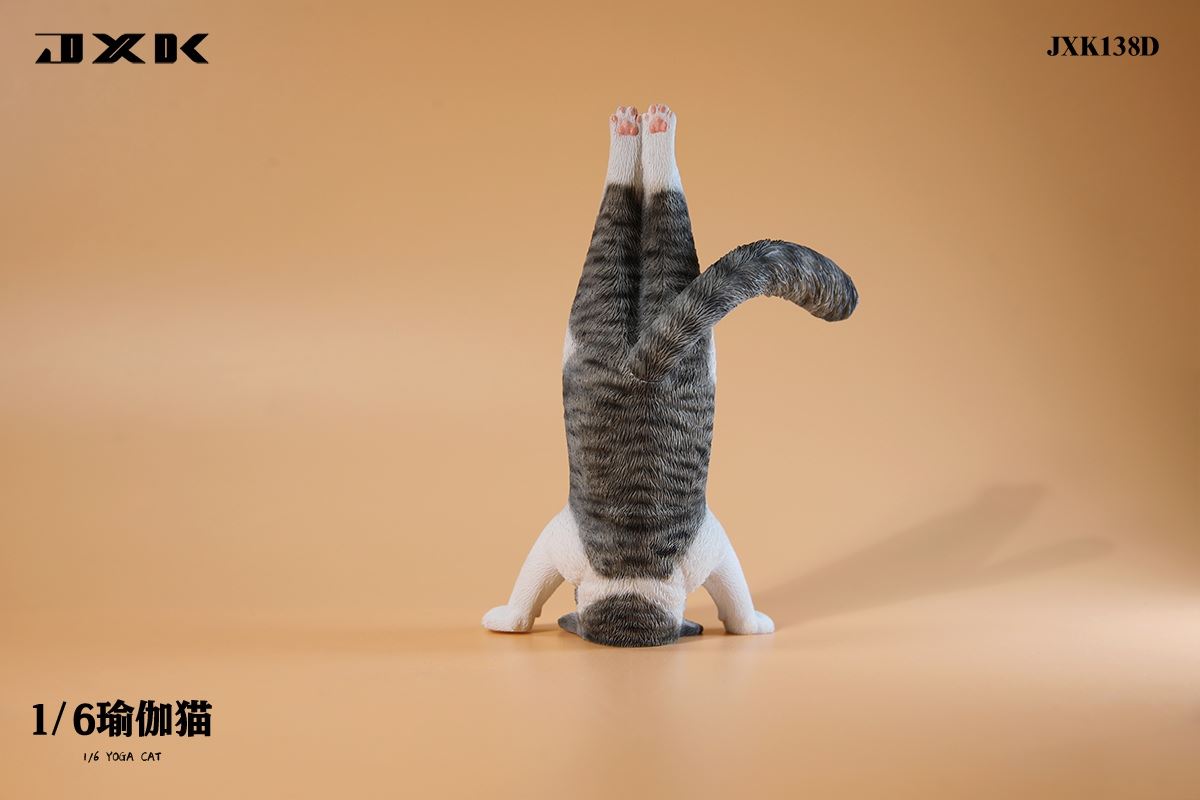 Yoga Cat 1/6