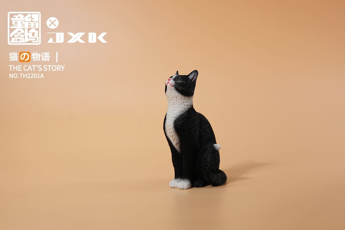 The Cat's Story