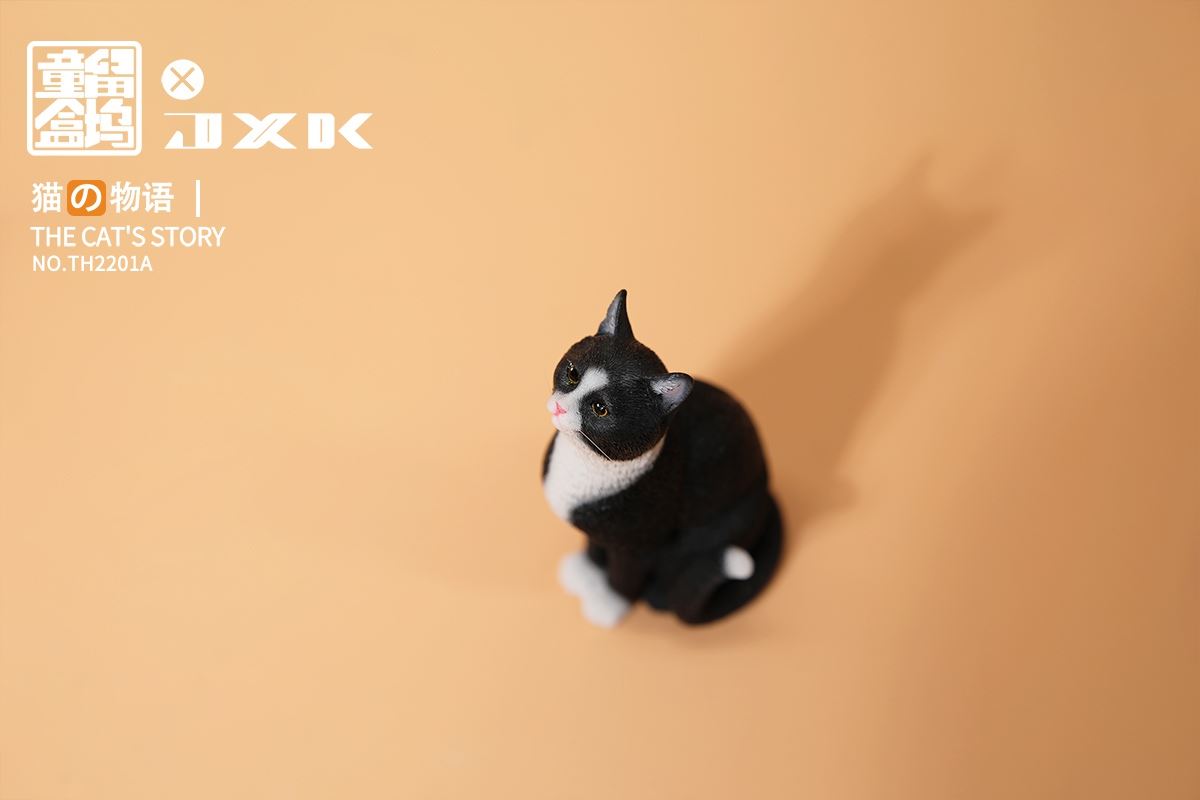 The Cat's Story
