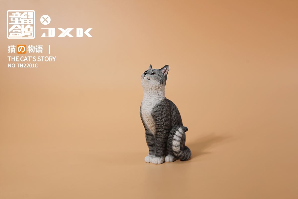 The Cat's Story
