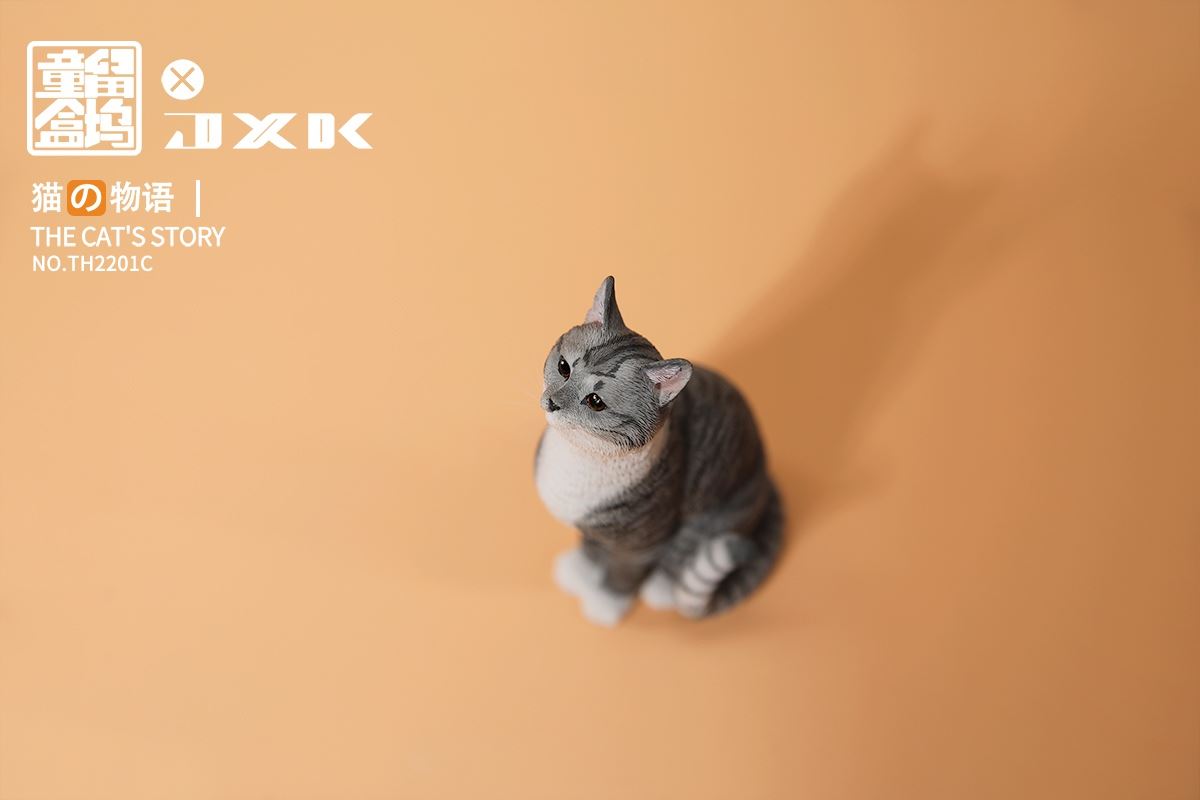 The Cat's Story