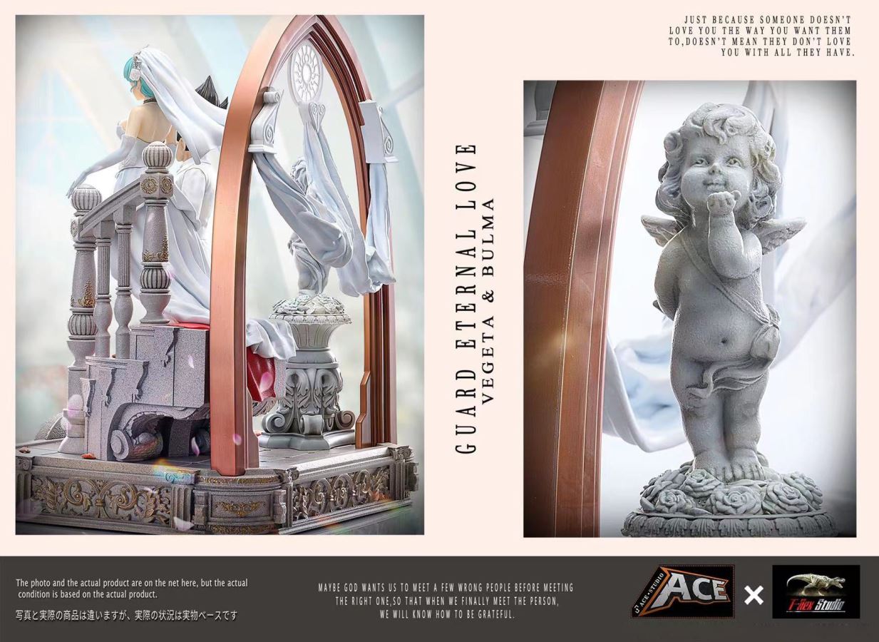 Vegeta & Bulma Wedding - Dragon Ball 1/6