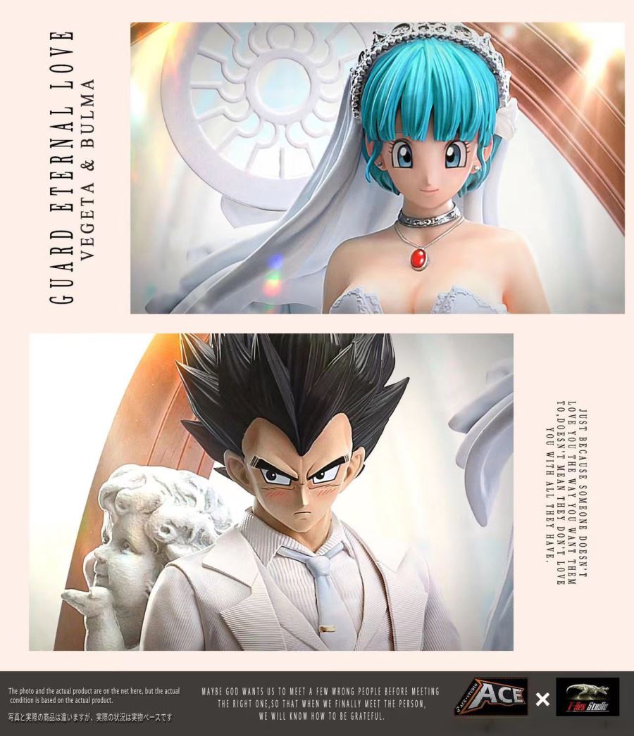 Vegeta & Bulma Wedding - Dragon Ball 1/6