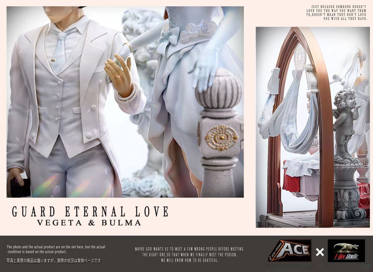 Vegeta & Bulma Wedding - Dragon Ball 1/6